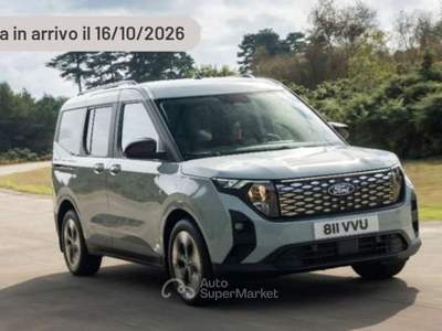 Ford Tourneo Courier 71cv Argento usata Pieve di Cento