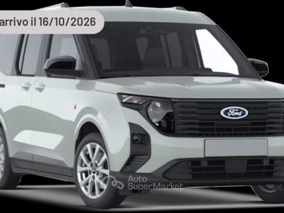 Ford Tourneo Courier 71cv Argento usata Pieve di Cento