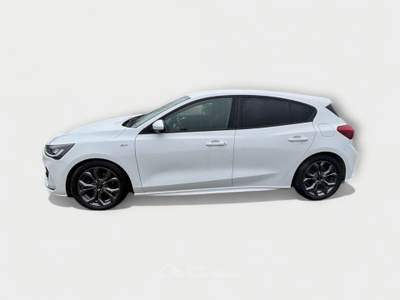 Ford Focus 5 Porte 1.5 EcoBlue 115cv ST-Line Auto Bianco usata Pisa