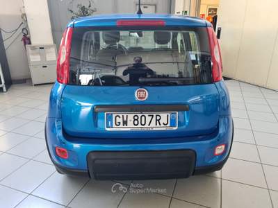 Fiat Panda 1.0 FireFly 70cv S&S Hybrid Pandina Blu/Azzurro usata Parma