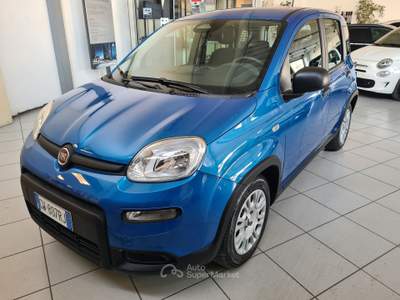 Fiat Panda 1.0 FireFly 70cv S&S Hybrid Pandina Blu/Azzurro usata Parma