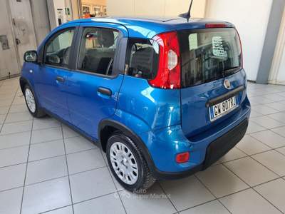 Fiat Panda 1.0 FireFly 70cv S&S Hybrid Pandina Blu/Azzurro usata Parma