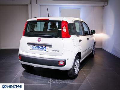 Fiat Panda Panda 1.0 FireFly S&S Hybrid Pop Bianco usata Calusco d'Adda
