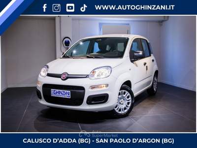 Fiat Panda Panda 1.0 FireFly S&S Hybrid Pop Bianco usata Calusco d'Adda Fiat Panda Panda 1.0 FireFly S&S Hybrid Pop Bianco usata Calusco d'Adda