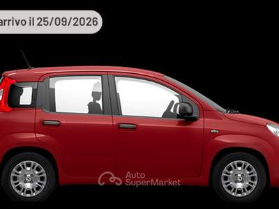 Fiat Panda 1.0 FireFly 65 CV Hybrid Pop Argento usata Pieve di Cento