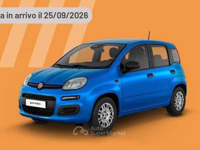 Fiat Panda 1.0 FireFly 65 CV Hybrid Pop Argento usata Pieve di Cento