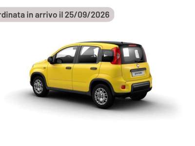 Fiat Panda 1.0 FireFly 65 CV Hybrid Pop Argento usata Pieve di Cento