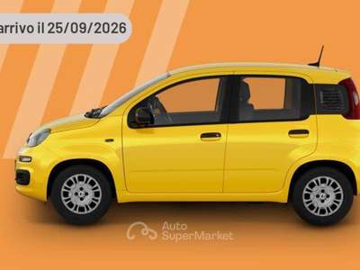 Fiat Panda 1.0 FireFly 65 CV Hybrid Icon Argento usata Pieve di Cento