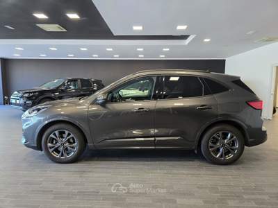 Ford Kuga ST LINE X Grigio usata Ferrara