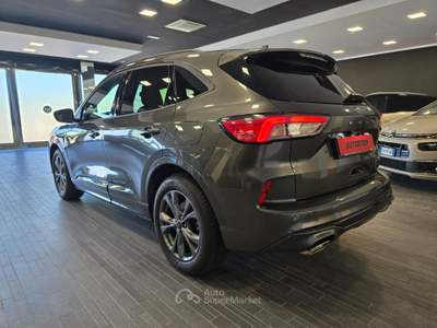 Ford Kuga ST LINE X Grigio usata Ferrara