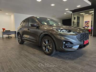 Ford Kuga ST LINE X Grigio usata Ferrara
