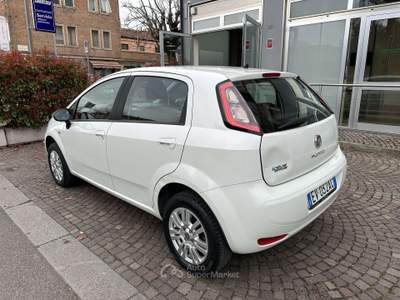 Fiat Punto Punt EO 5p 1.4 natural power Lounge 70cv E6 Bianco usata Ferrara