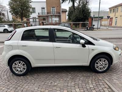 Fiat Punto Punt EO 5p 1.4 natural power Lounge 70cv E6 Bianco usata Ferrara