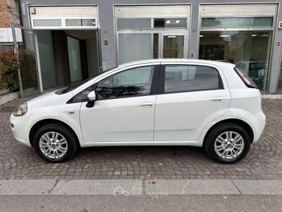 Fiat Punto Punt EO 5p 1.4 natural power Lounge 70cv E6 Bianco usata Ferrara