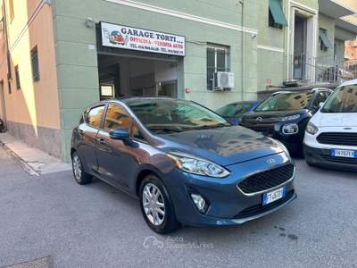 Ford Fiesta 5 porte Plus Grigio usata Genova