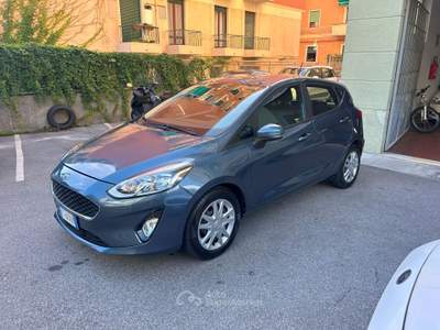 Ford Fiesta 5 porte Plus Grigio usata Genova