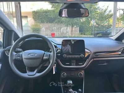 Ford Fiesta 5 porte Plus Grigio usata Genova