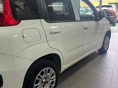 Fiat Panda Garantito Bianco usata Pompei