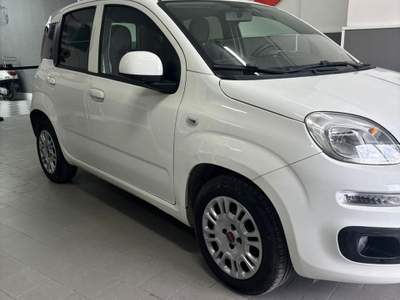 Fiat Panda Garantito Bianco usata Pompei