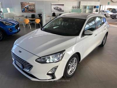 Ford Focus 1.5 EcoBlue 120 CV aut. SW Business Co-Pilot Bianco usata Imola