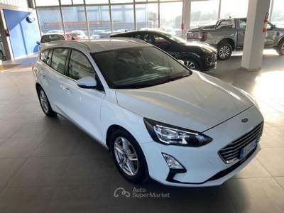 Ford Focus 1.5 EcoBlue 120 CV aut. SW Business Co-Pilot Bianco usata Imola
