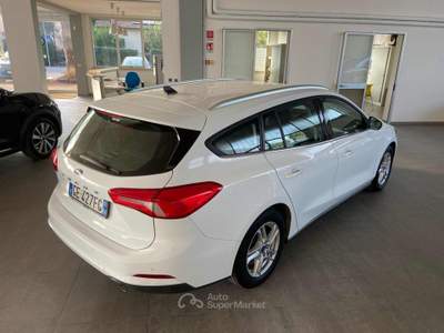 Ford Focus 1.5 EcoBlue 120 CV aut. SW Business Co-Pilot Bianco usata Imola