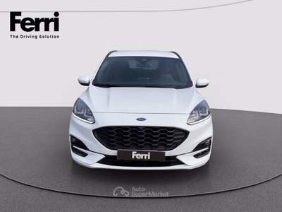 Ford Kuga 2.0 ecoblue ST-Line 2wd 120cv auto Bianco usata Cesena