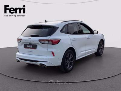 Ford Kuga 2.0 ecoblue ST-Line 2wd 120cv auto Bianco usata Cesena