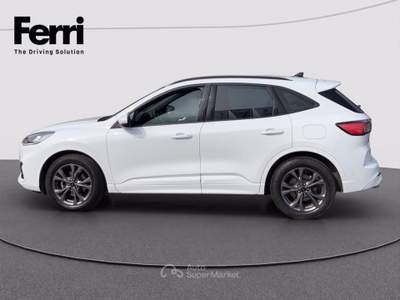 Ford Kuga 2.0 ecoblue ST-Line 2wd 120cv auto Bianco usata Cesena