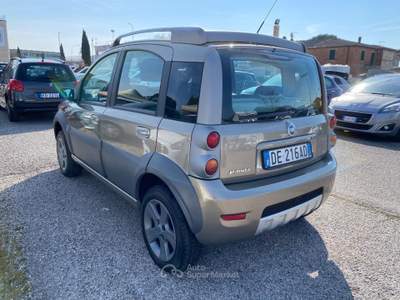 Fiat Panda 1.3 MJT 16V 4x4 Cross ELD Oro usata Sinalunga