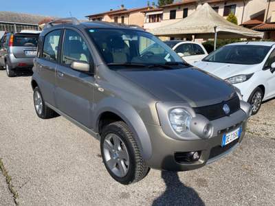Fiat Panda 1.3 MJT 16V 4x4 Cross ELD Oro usata Sinalunga