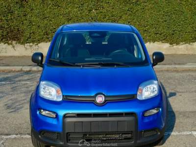 Fiat Panda Panda Pandina 1.0 Hybrid Blu/Azzurro usata Torino