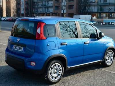 Fiat Panda Panda Pandina 1.0 Hybrid Blu/Azzurro usata Torino