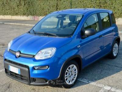 Fiat Panda Panda Pandina 1.0 Hybrid Blu/Azzurro usata Torino