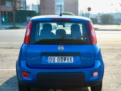 Fiat Panda Panda Pandina 1.0 Hybrid Blu/Azzurro usata Torino