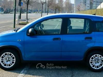 Fiat Panda Panda Pandina 1.0 Hybrid Blu/Azzurro usata Torino