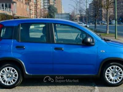 Fiat Panda Panda Pandina 1.0 Hybrid Blu/Azzurro usata Torino