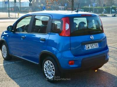 Fiat Panda Panda Pandina 1.0 Hybrid Blu/Azzurro usata Torino