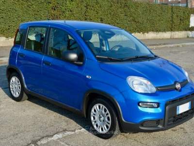 Fiat Panda Panda Pandina 1.0 Hybrid Blu/Azzurro usata Torino