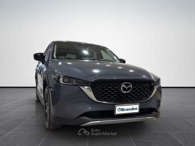 Mazda CX-5  2.2 newground  2wd 150cv Grigio usata Firenze