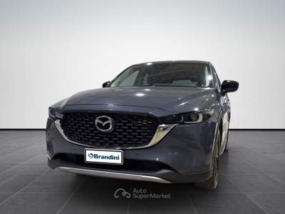 Mazda CX-5  2.2 newground  2wd 150cv Grigio usata Firenze