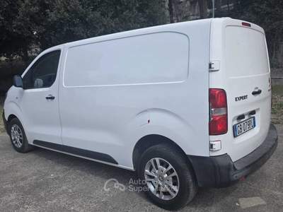Peugeot Expert Expert 2.0 BlueHDi 120 S&S PL-TN Furgone Pro Standard Bianco usata Deruta