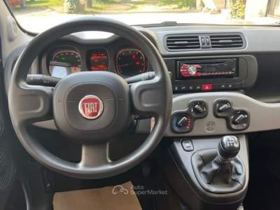 Fiat Panda 1.2 Lounge Argento usata ROSà