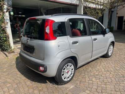 Fiat Panda 1.2 Lounge Argento usata ROSà
