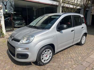 Fiat Panda 1.2 Lounge Argento usata ROSà