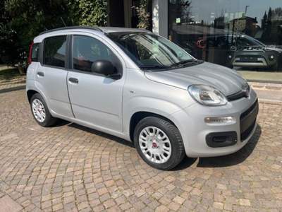 Fiat Panda 1.2 Lounge Argento usata ROSà
