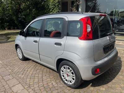 Fiat Panda 1.2 Lounge Argento usata ROSà