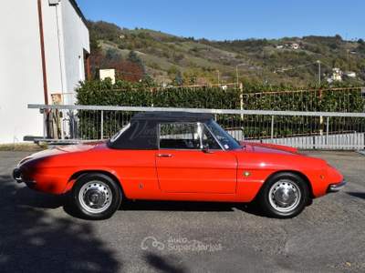 Alfa Romeo Alfa 90 Duetto “Osso di Seppia” usata Ferrara