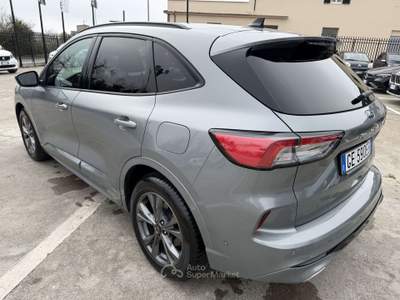 Ford Kuga Kuga III 2020 2.0 ecoblue mhev ST-Line X 2wd 150cv Grigio usata Civita Castellana