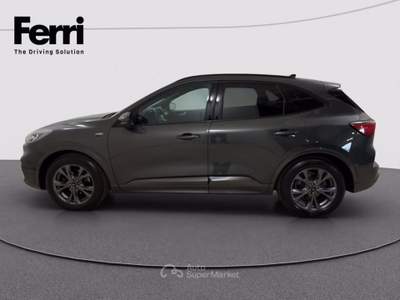 Ford Kuga 1.5 ecoblue ST-Line 2wd 120cv auto Grigio usata Cesena